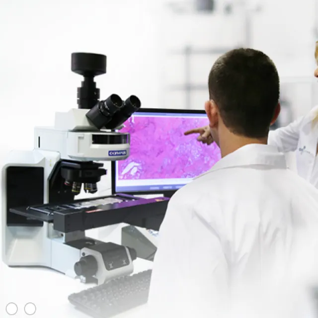Bioview Target FISH Tissue Matching Bioview Target FISH Tissue Matching